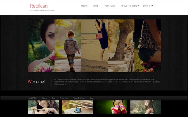 Replican - A Free Modern Photography WordPress Theme from SmallEnvelop