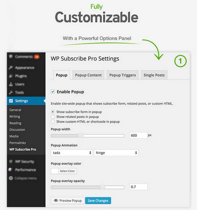 Turn Visitors Into Paying Customers With WP Subscribe Pro WordPress Plugin