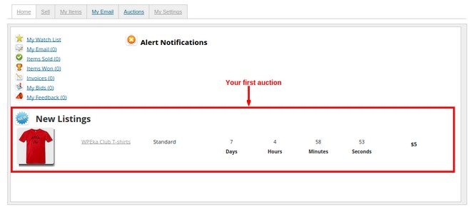 How to Set up an Auction Site like eBay