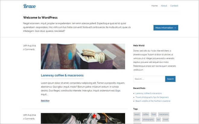 Bravo WordPress Theme