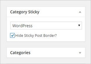 How to add Sticky Posts in WordPress for Categories