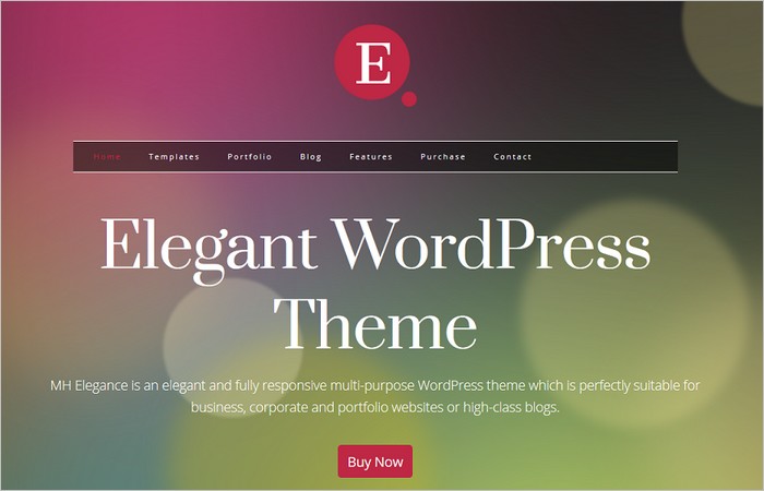 WordPress Themes for Small Businesses 2015 