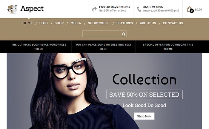 40 Of the Best WordPress eCommerce Themes