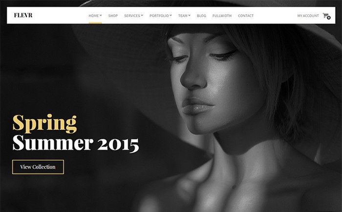 40 Of the Best WordPress eCommerce Themes