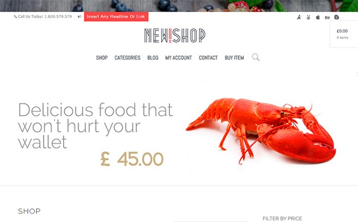 40 Of the Best WordPress eCommerce Themes