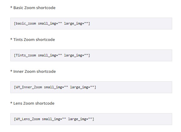 Wm Zoom Basic Zoom Shortcode How to Add Eye-Catching Zoom Effects in WordPress