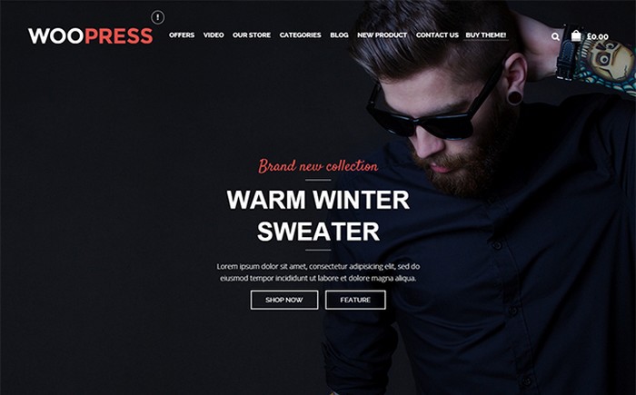 40 Of the Best WordPress eCommerce Themes