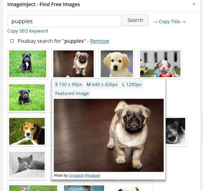WordPress Photo Plugins for All of Your Photo Needs