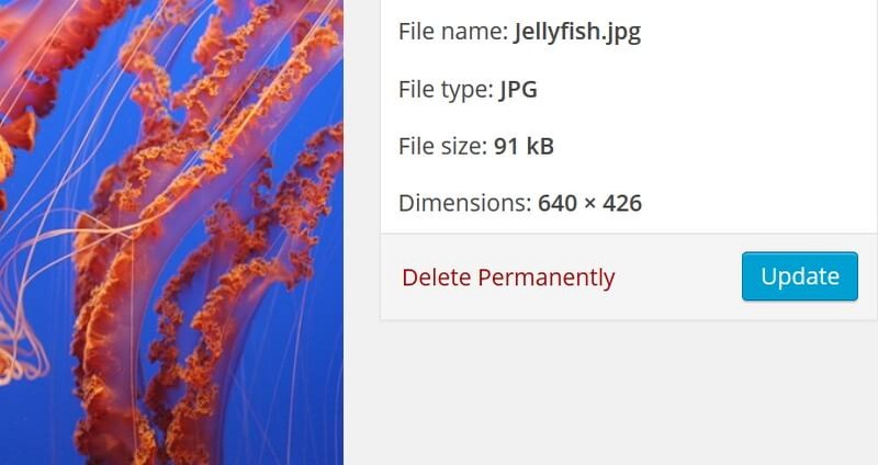 Optimized Image Test for Optimus Optimus Image Optimizer: Lossless Compression WordPress Plugin