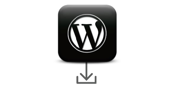 Easy Guide to Solve the Issues of WordPress White Screen of Death