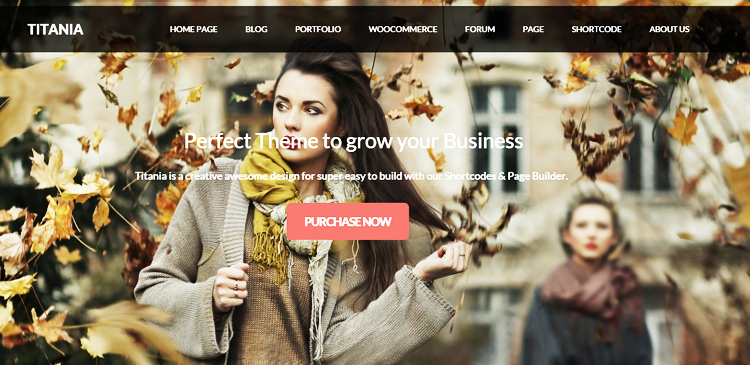 10 Jaw-Dropping WordPress Themes For Professional Photographers