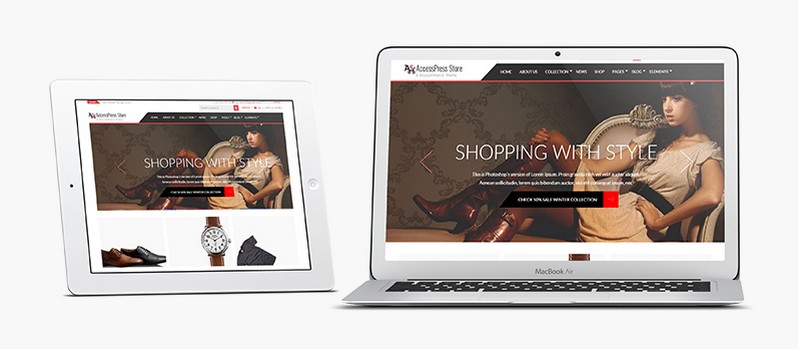 AccessPress Store: The Next Generation of Online Stores Start Here