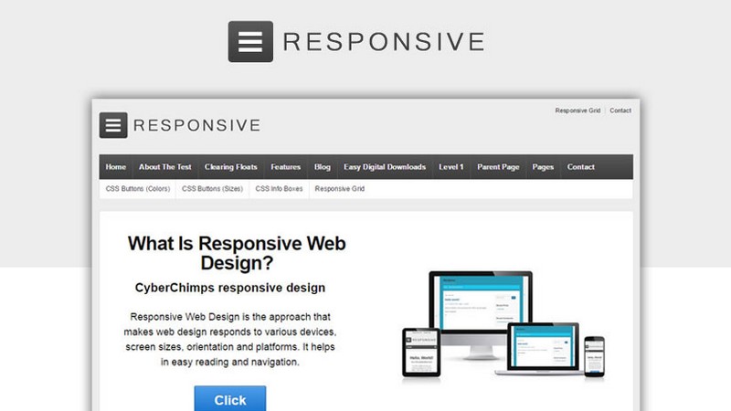 Responsive Fluid WordPress Theme Essential WordPress Themes & Plugins You Should Be Using