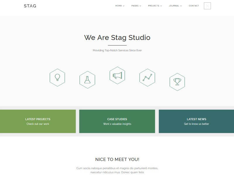 Stag: A WordPress Theme Offering Endless Portfolio Design