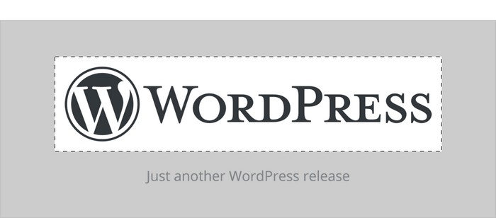 WordPress 4.5 “Coleman” Released, Check it Out!
