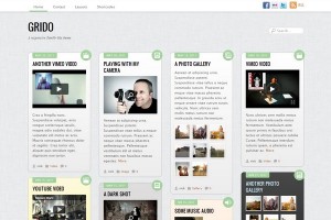 Grido - A Tumblr-like Responsive WordPress Theme