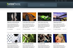 Revista Free WordPress Theme