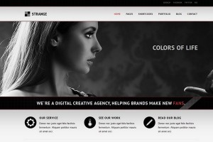 Strange - A Modern Portfolio WordPress Theme