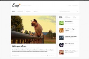 Easy - A Magazine WordPress Theme with Responsive design