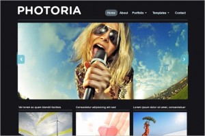 Photoria is a free WordPress Theme by WPZOOM