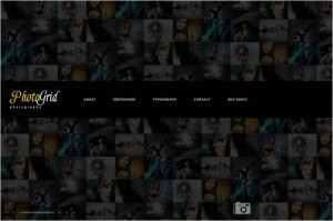 PhotoGrid is a one Page WordPress Theme