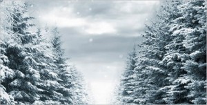 Falling Snow is a WordPress Plugin
