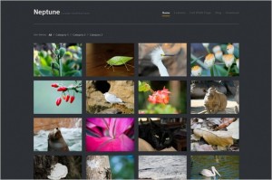Neptune is a free WordPress Theme by WPExplorer.com