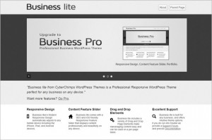 Business lite is a free WordPress Theme
