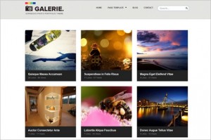 Galerie is a portfolio WordPress Theme by ColorLabs