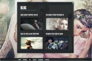 Gleam is a WordPress Theme by Elegant Themes