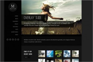 Myriad - A Professional WordPress Theme