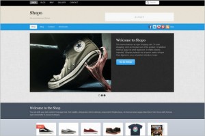 Shopo is a Ecommerce WordPress Theme by Themify