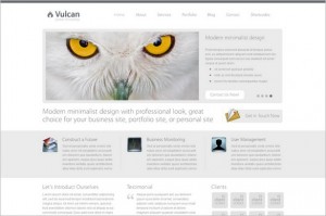 Vulcan is a Minimalist Business WordPress Theme