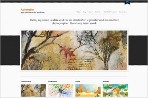 Aphrodite is a WordPress Theme from cssigniter.com