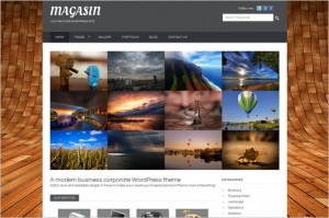 Magasin is a Business WordPress Theme