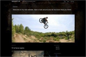 Modularity Lite is a free WordPress Theme by Graph Paper Press