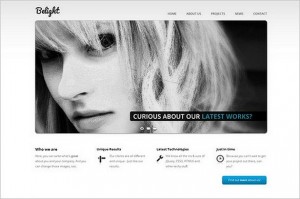 Belight is a business & portfolio WordPress Theme