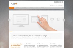 FlexFit is a responsive Business WordPress Theme