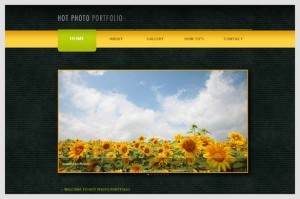 Hot Photo Portfolio is a Portfolio WordPress Theme