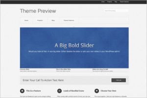 Pitch is a free WordPress Theme