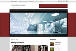 Sukelius Magazine is a free WordPress Theme