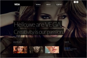 VEGA is a responsive WordPress Theme