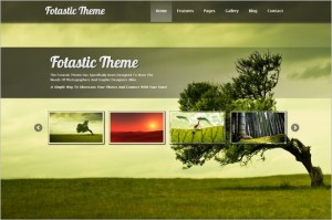 Fotastic is a WordPress Photography Theme