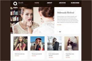 Zenith is a free WordPress Theme