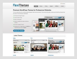 FlexiThemes WordPress Themes