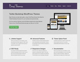 Brag WordPress Themes