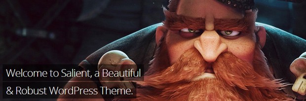 ThemeForest Best Selling WordPress Themes