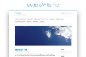 elegantWhite Pro is a premium WordPress Theme