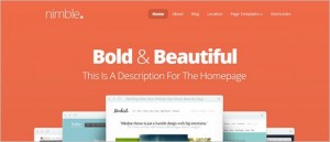 Nimble is a responsive WordPress Theme from Elegant Themes