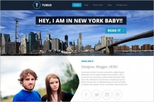 Tubus WordPress Theme from Themes4all